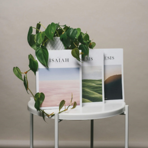 Art books are perfect candidates for PUR binding