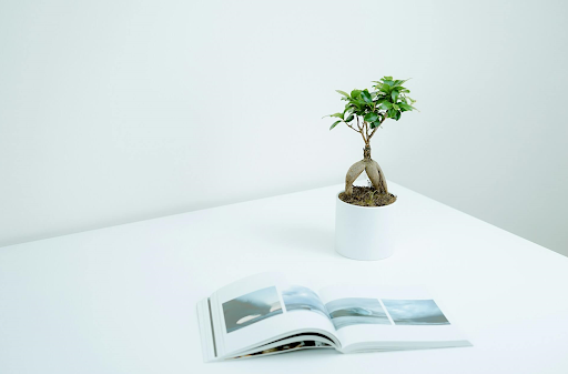 A PUR-bound photography book is robust and can survive through years of use.