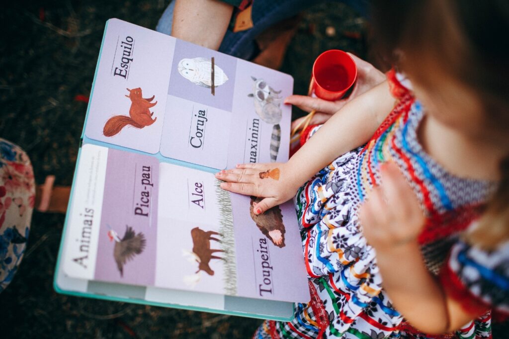 Large Print Textbooks